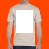 Adult T-Shirt Thumbnail