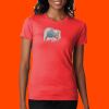 Ladies' CVC T-Shirt Thumbnail