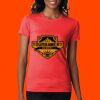 Ladies' CVC T-Shirt Thumbnail