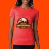Ladies' CVC T-Shirt Thumbnail