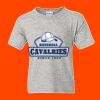DryBlend Youth 50/50 T-Shirt Thumbnail