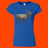 Softstyle Women's T-Shirt Thumbnail