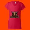 Softstyle Women's V-Neck T-Shirt Thumbnail